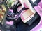 2026 Ford Bronco Custom Pearl Pink Retro Outer Banks Hard Top