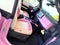 2026 Ford Bronco Custom Pearl Pink Retro Outer Banks Hard Top