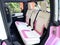 2026 Ford Bronco Custom Pearl Pink Retro Outer Banks Hard Top