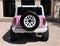 2026 Ford Bronco Custom Pearl Pink Retro Outer Banks Hard Top